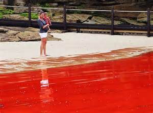 yangtze river in china turns blood red 