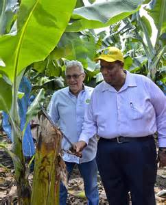 Agriculture Minister Roger Clarke