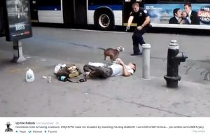 homeless man having a seizure, while cop kill kills his dog