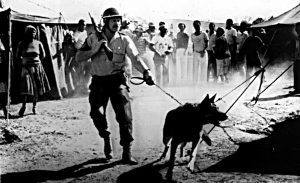 images of white south Africans domination of blacks during the apartheid era