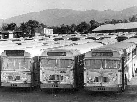 Former Jamaica Omnibus Service, Buses